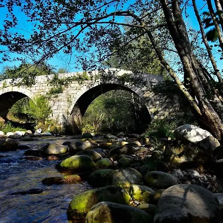 Casa Do Bairro Alto * Cerva