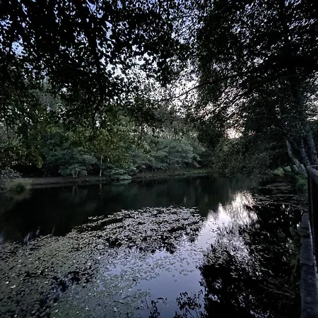 Casa Do Bairro Alto * Cerva