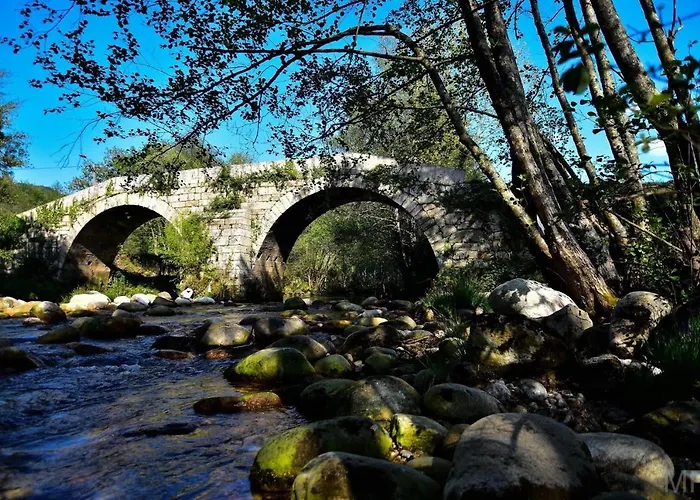 Casa Do Bairro Alto * Cerva