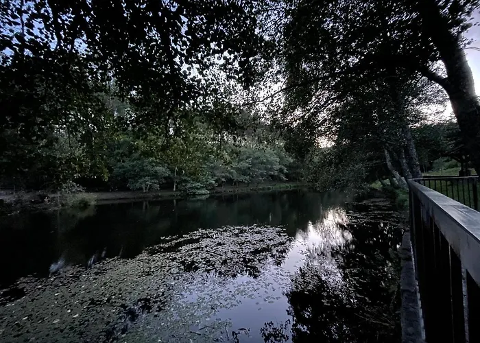 Casa Do Bairro Alto * Cerva